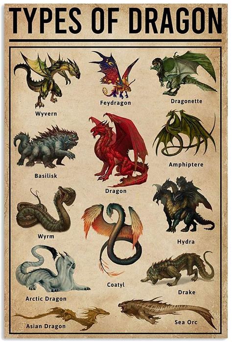 poster – types of dragon vertical poster – poster wall art print size x ...