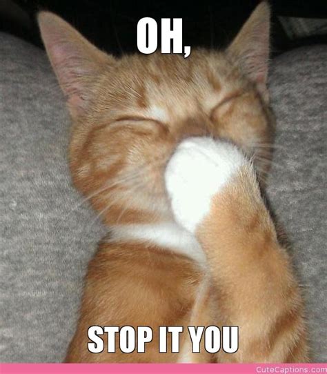 oh stop it you - Meme by anabier :) Memedroid