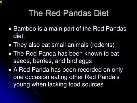 Red Panda Diet Diagram