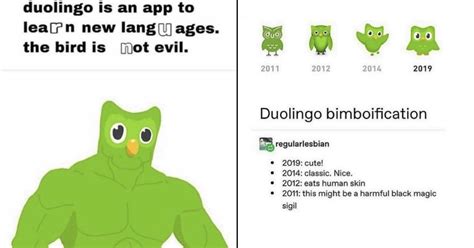 Dumb Duolingo Memes For Both Linguists And Language Luddites - Memebase ...