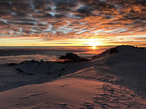 Mount Kilimanjaro Sunrise