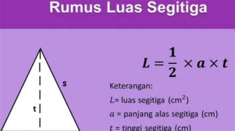 Luas Segitiga Sudut Tegak - AbbigailabbBenton