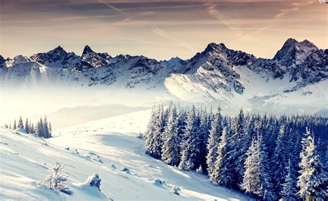 trees, winter, Mountains, snow, viewes, Snowy - Beautiful views ...