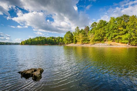 The 10 Best Lakes for Swimming in North Carolina