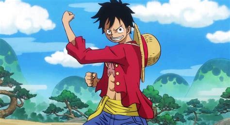 All of Luffy's crew : Straw Hat Pirates 10th Member