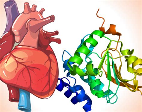 Procalcitonin as a diagnostic biomarker for Pneumonia: A brief overview ...