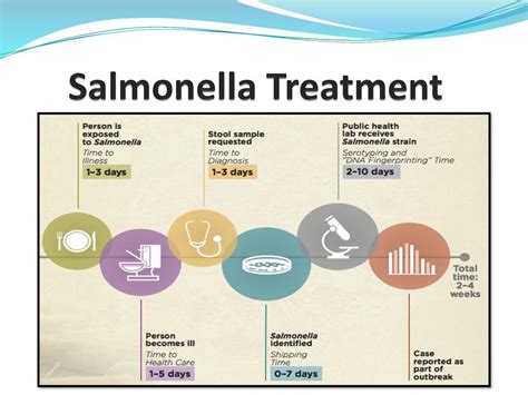 SALMONELLA. - ppt download