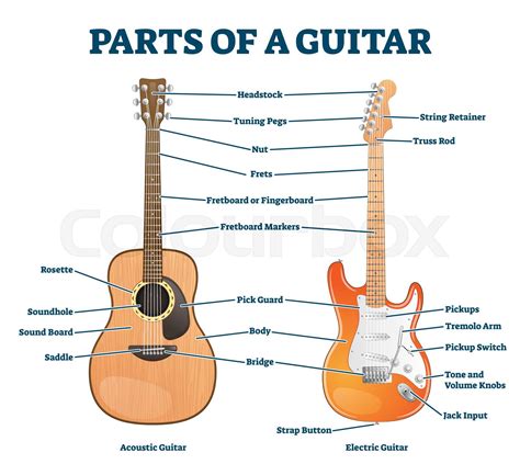 Acoustic Electric Guitar Parts Names at Edna Fain blog