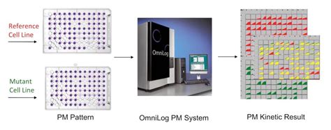 Applications of MicroArray Technology