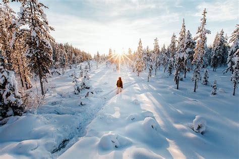 Best Winter Activities for Lapland, Sweden