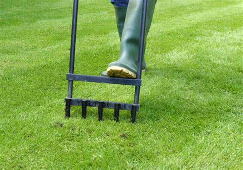 Lessons for Aerating Your Lawn in the Spring | Best Pick Reports