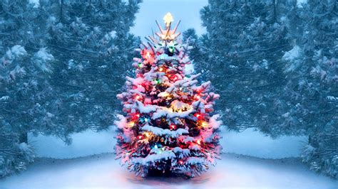 Christmas Tree With Snow And Lights Decoration HD Christmas Tree ...