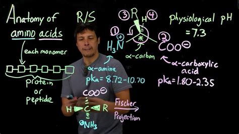 Topic 3.1B - Anatomy of amino acids stereochemistry - YouTube