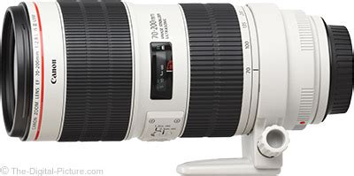 The Best Canon Telephoto Zoom Lens for 2023