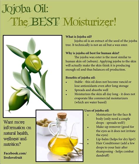 The Amazing Benefits Of Jojoba Oil! | Trusper