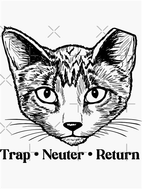 "TNR Trap Neuter Return Feral Cats Rescue" Sticker for Sale by ...