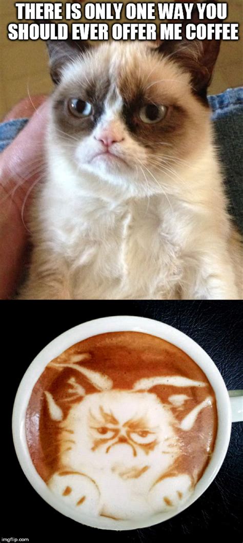 Grumpy Cat does coffee? - Imgflip