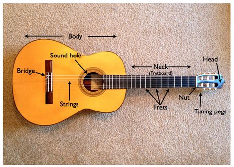 Acoustic Guitar- Labeled Parts | Self Taught Guitar Lessons