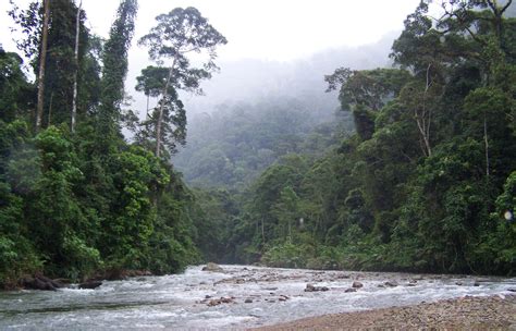 About Leuser