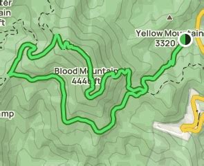 Blood Mountain and Freeman Loop Trail, Georgia - 2,964 Reviews, Map ...