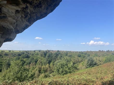 The best family walks in the North York Moors: Dalby Forest and beyond ...