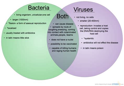 Virus and Bacteria - Forestrypedia