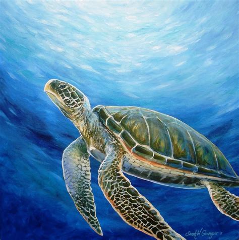 Sea Turtle by Sarah Grangier | Sea turtle painting, Turtle painting ...