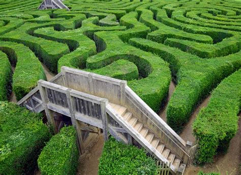 What is a Maze Garden? (with picture)