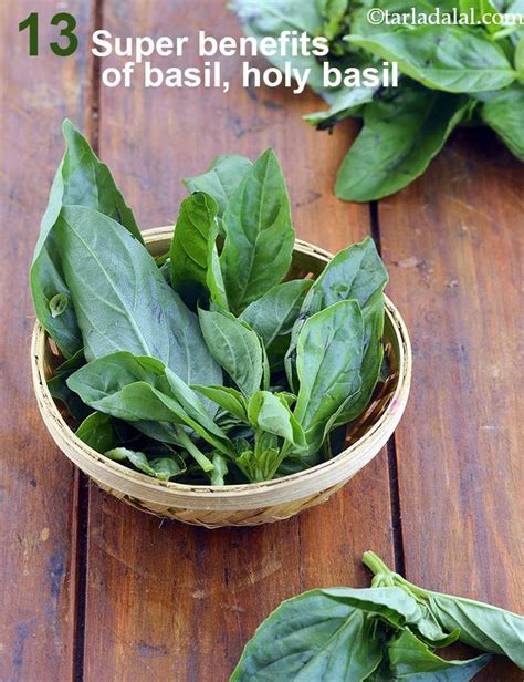 Benefits of Basil, Holy Basil (Tulsi), healthy basil recipes,Tarladalal.com