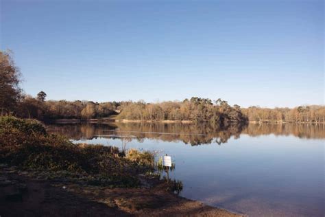 Virginia Water Lake: Day Trip From London – tea was here