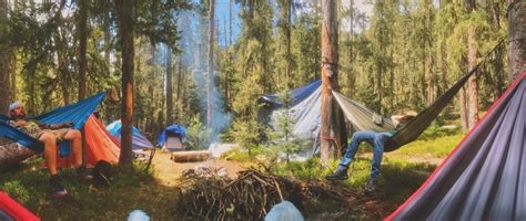 Camping In The New Forest 2020 - forest camping wallpaper