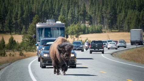 How to Plan an RV Trip to Yellowstone - Getaway Couple