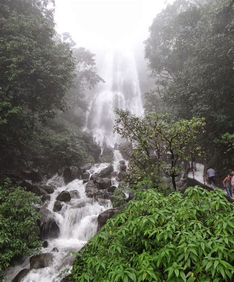 Explore Weekends: Amboli Ghat Waterfall, Maharashtra