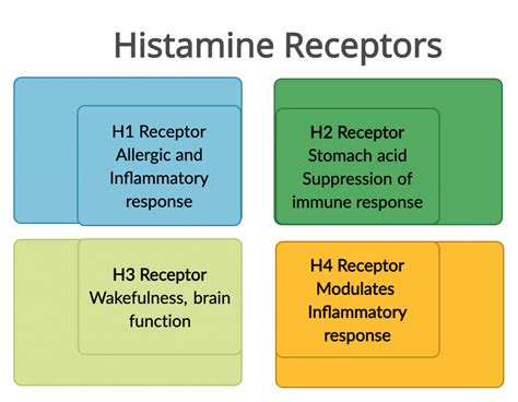 Histamine Intolerance: Understanding Genes, Managing Symptoms