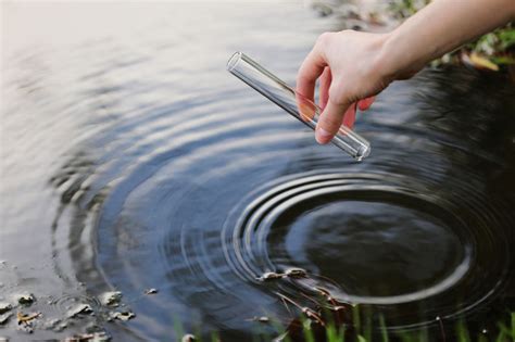 Definitive Guide to Koi Fish Pond Maintenance