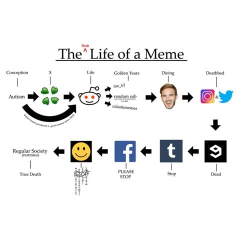 The True Life of a Meme | Meme Life Cycle Charts | Know Your Meme