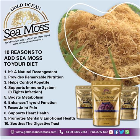 Reasons to add sea moss to your diet | Irish moss recipes, Sea moss ...