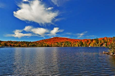 Best Western Saranac Lake - Saranac Lake, NY - Business Directory