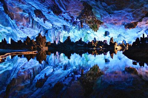 35 Fascinating Waitomo Glowworm Caves Facts