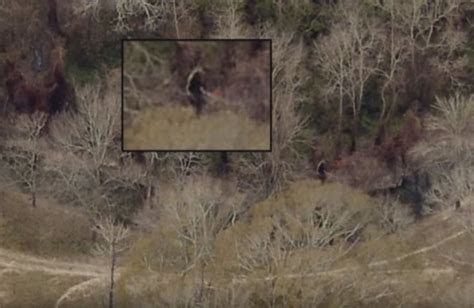 Rougarou, Louisiana's Dogman, Captured On Aerial Footage