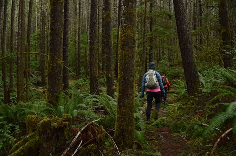 Top 10 Oregon Winter Hikes - Hike Oregon