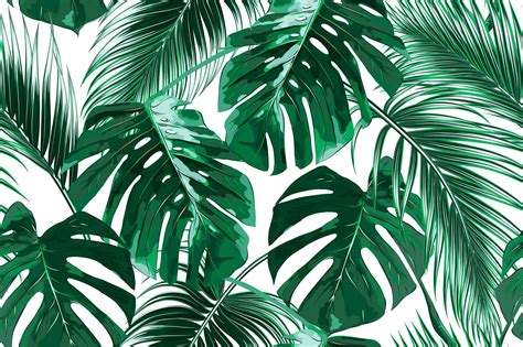 Tropical Leaves Wallpapers - Top Free Tropical Leaves Backgrounds - WallpaperAccess