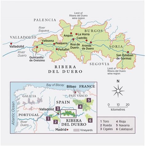 Ribera del Duero profile: Learn about the region - Decanter