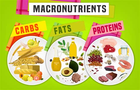 WHAT ARE MACRONUTRIENTS AND WHAT DO THEY DO?