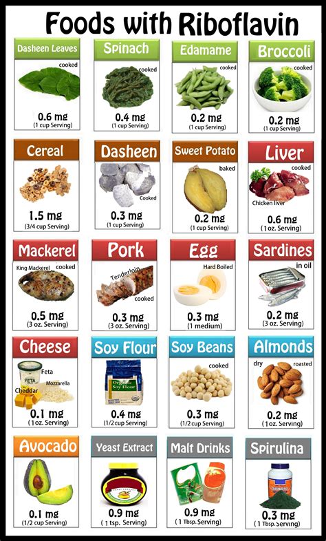 Riboflavin (B2) is a co-enzyme needed for key energy reactions in the ...