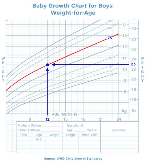 Baby Growth Charts: Birth to 24 Months | Pampers CA