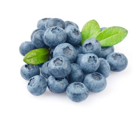 Blueberry ♡ - Blueberries Photo (35246963) - Fanpop