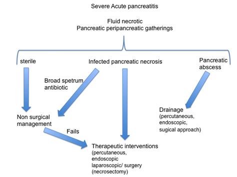 Role of Surgery in the Treatment of Pancreatitis and Its Complications ...