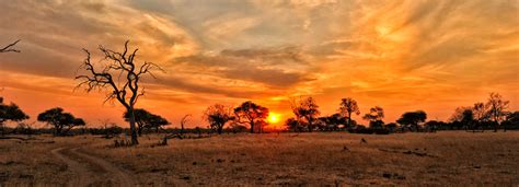 Hwange National Park, Zimbabwe | Bench Africa