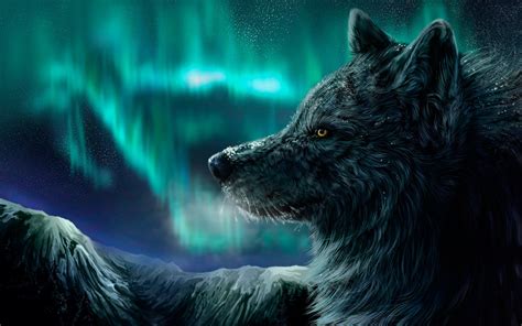 10 Latest Cool Wolf Backgrounds Light FULL HD 1920×1080 For PC ...